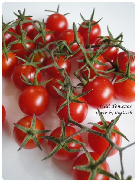 tomato (30)