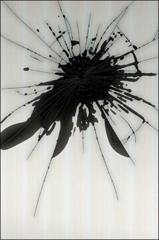 4215046561_ccdc52ed72