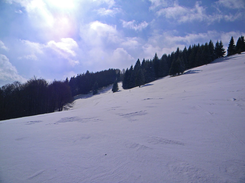 [DSCN46613.jpg]