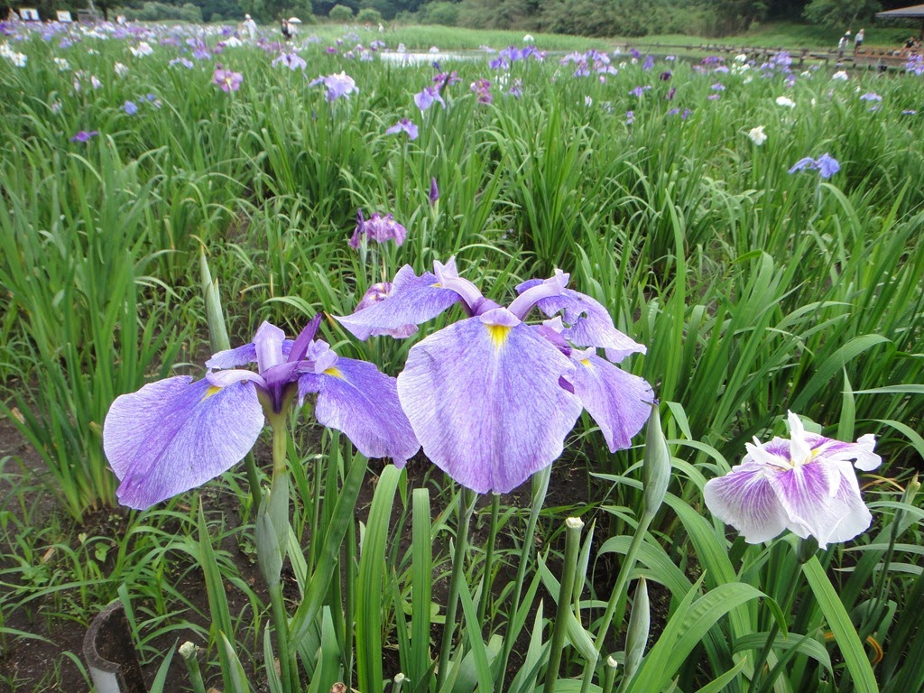 [DSC02478%255B4%255D.jpg]