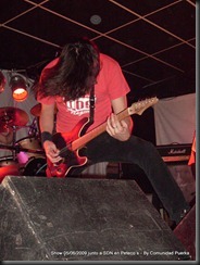 Peteco´s  SDN 5-6 (155)