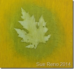 Silver Maple, heliographic print by Sue Reno