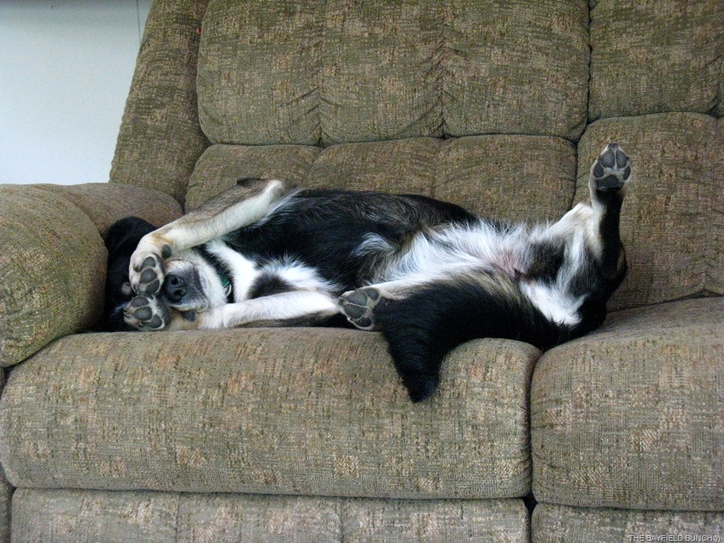 [IMG_3235%255B4%255D.jpg]