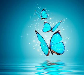 download Butterfly Wallpapers Share free