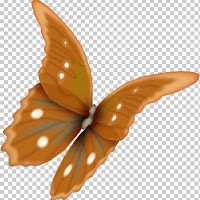 butterfly6c.jpg