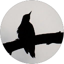 Dak W profile picture