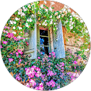 Image Google de christine CHAPELLE