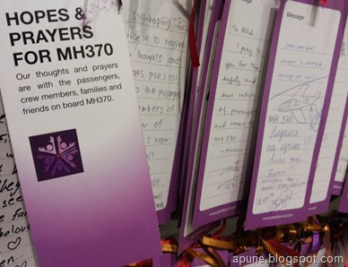 MH370 Tag