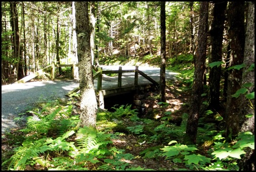 Witch Hole Pond, bike 3 stone bridges, 6 wooden 294