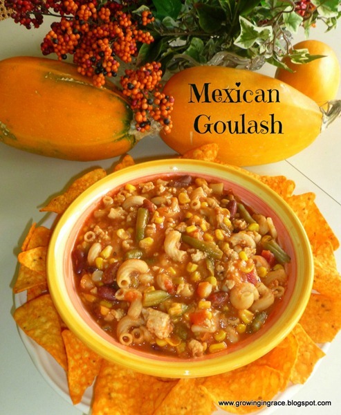 mexican goulash