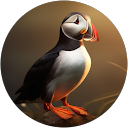 Juanjo Melguizo Hernando profile picture