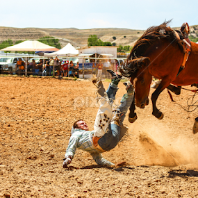 Bronc Buster by Stacey Atkinson - Sports & Fitness Rodeo/Bull Riding