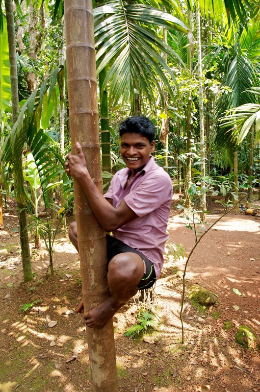 [DSC_2631%255B3%255D.jpg]