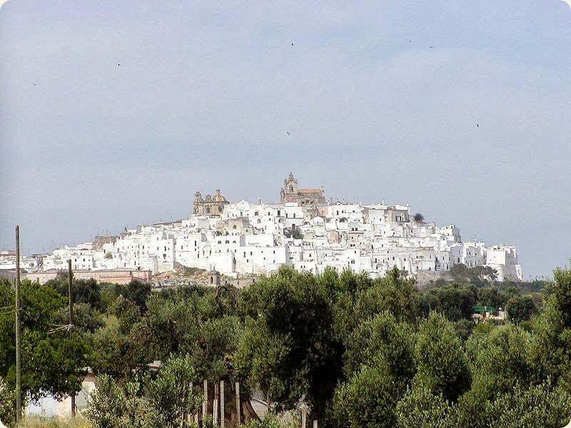 Ostuni la Città, sospesa tra l'azzurro dell'Adriatico e le verdi colline degli ulivi ultrasecolari.