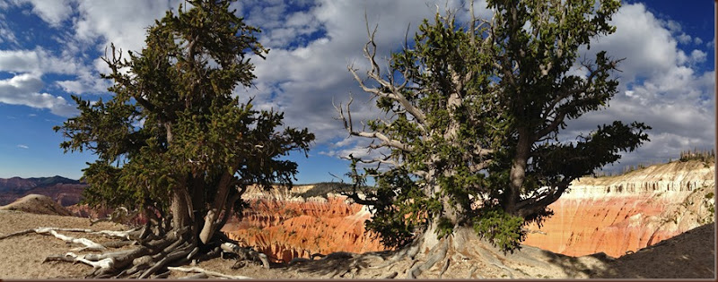 Panguitch Lake104-15 Aug 2013