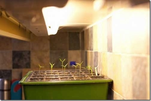 [clip_image0073.jpg]