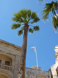 2013-05-21 Malta - 167