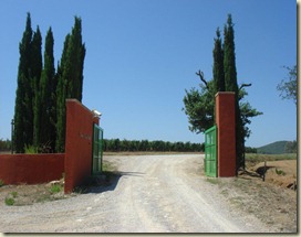 1 1
