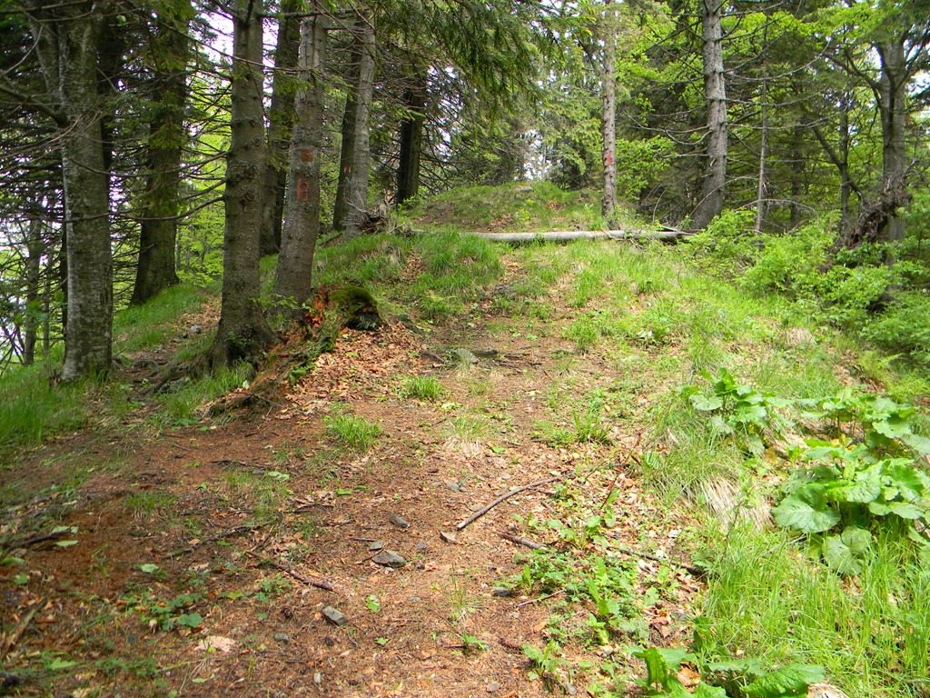 [DSCN08333.jpg]