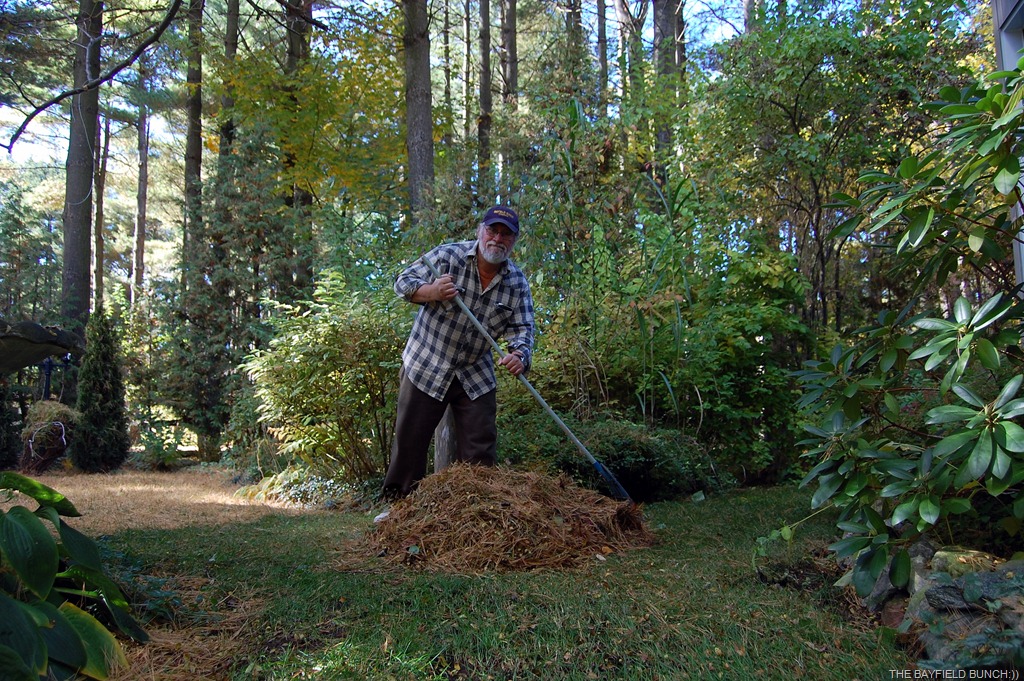 [DSC_8820%255B4%255D.jpg]