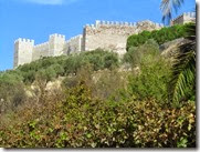 IMG_8272 IMG_8272