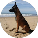 Image Google de David Marceau