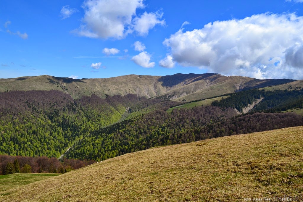 [DSC_93369.jpg]