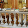 DSC03384.jpg