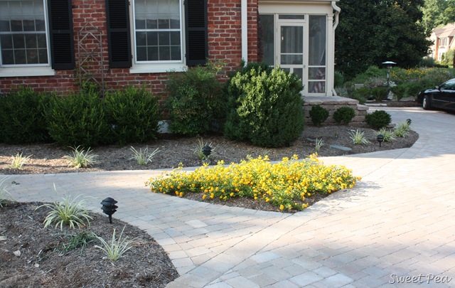 [Yard2%255B3%255D.jpg]