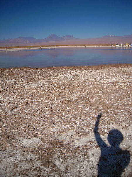 Excursie in Atacama, Chile: Ojos del Salar
