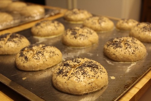 sourdough-poppy-seed-rolls014