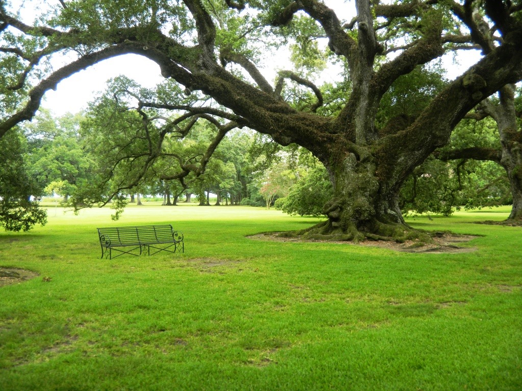 [DSCN6955%2520-%2520Kopie%255B5%255D.jpg]