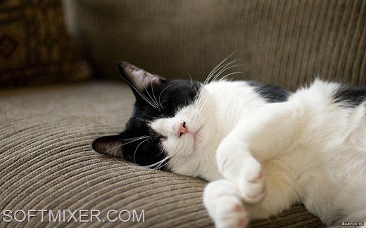 [7770-1920x1200%255B6%255D.jpg]