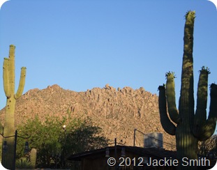 Arizona Spring 2012 240