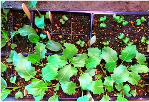 [clip_image0053.jpg]