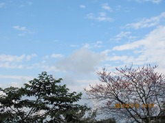 IMG_7598