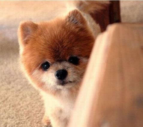 [754873bc28200fe179328726f20_prev%255B4%255D.jpg]