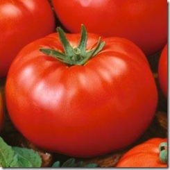 eco-friendly-organic-garden-beefsteak-tomatoes