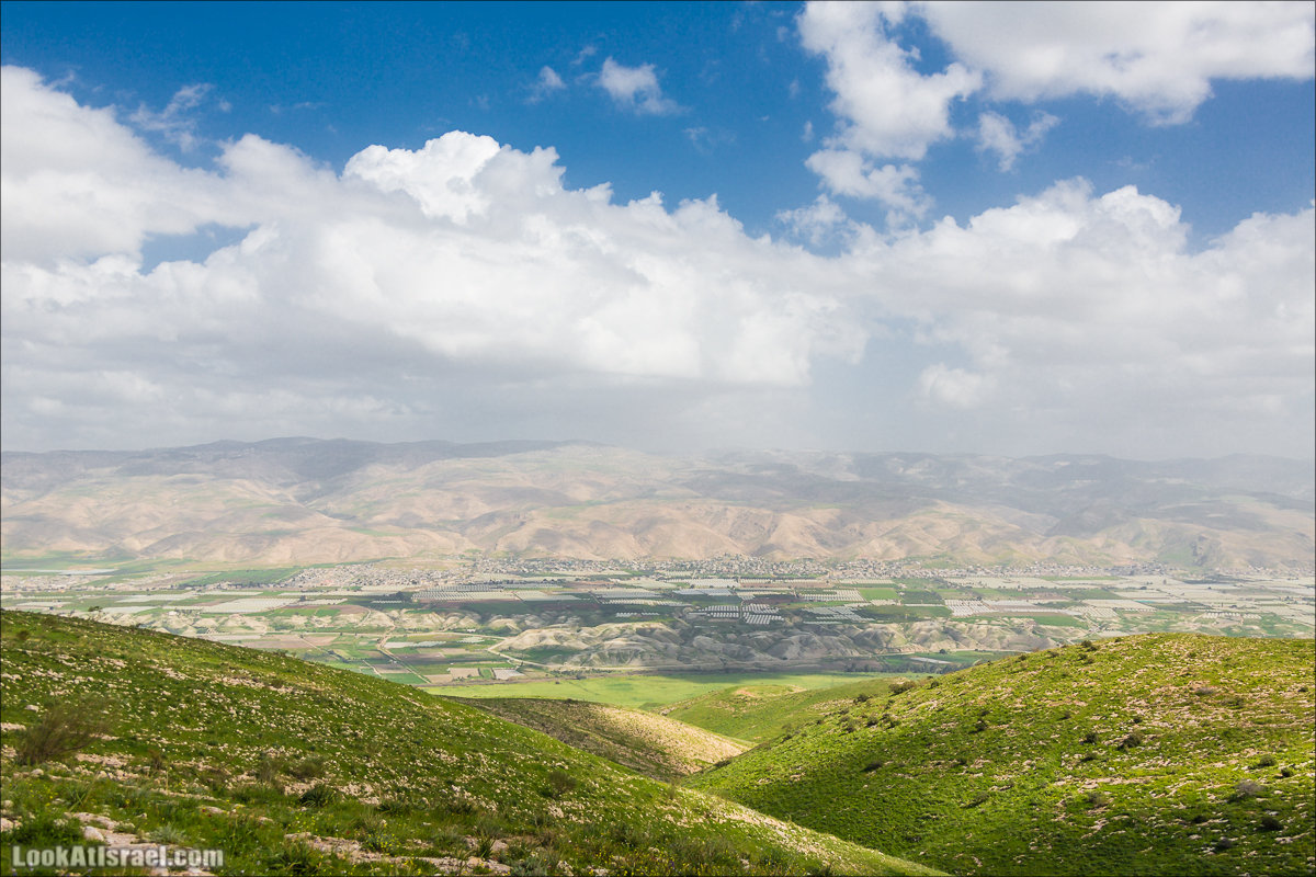LookAtIsrael.com - Ручей (нахаль) Талкид | Nahal Talkid | נחל תלקיד