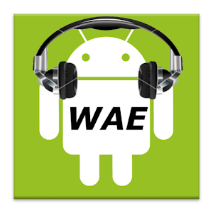 WAE Summary