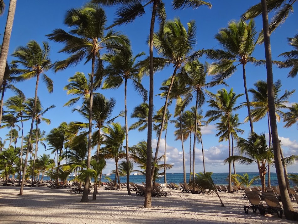 Republica Dominicana - Relaxare in Punta Cana (ep. 1). By Bogdan Popescu
