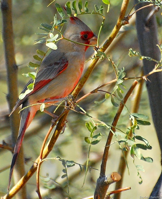 [DSC_2141%255B4%255D.jpg]