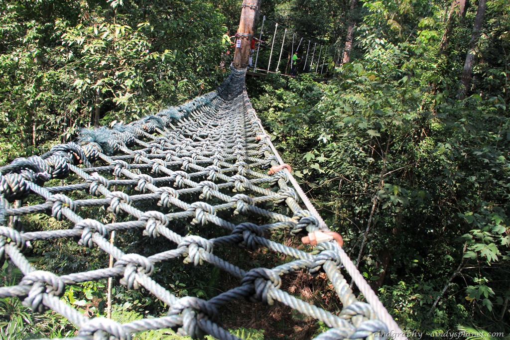 [SkyTrex544.jpg.webp]
