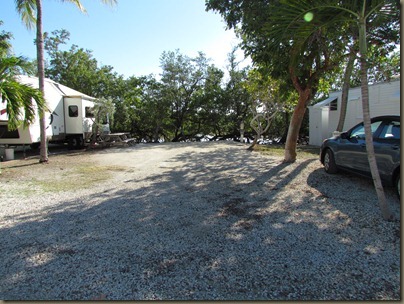 one of the few larger sites at big pine key fishing lodge...roads are narrow though..site 47