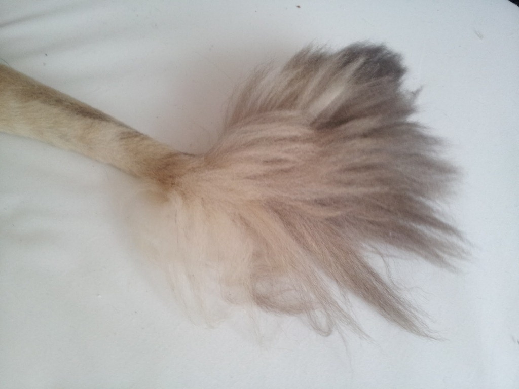 [02%2520-%25201%255B3%255D.jpg]