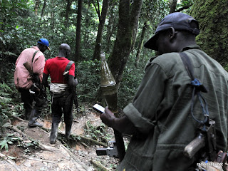 Des rebelles des FDLR se promenant dans la forêt de Pinga dans l'Est de la République Démocratique du Congo, le 06 Février 2009