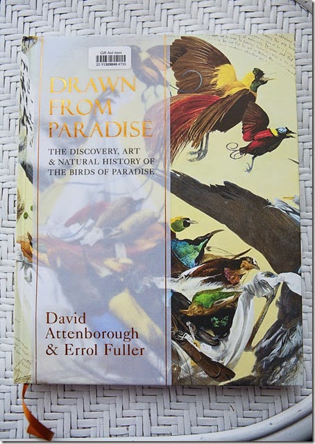 Drawn from Paradise2