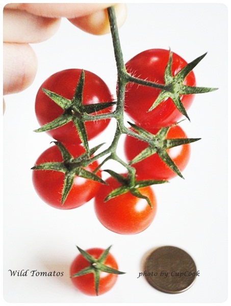 tomato (19)