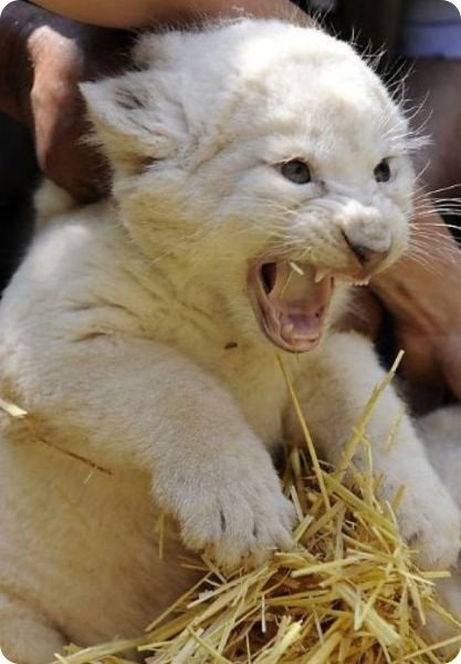 [clip_image027%255B4%255D.jpg]