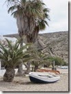IMG_0015 IMG_0015